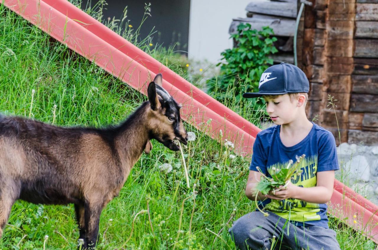 Urlaubsland Sonnfeld Daire Flachau Dış mekan fotoğraf